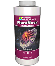 gh Flora nova Bloom