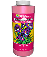gh Flora bloom