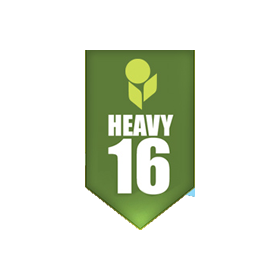 heavy 16